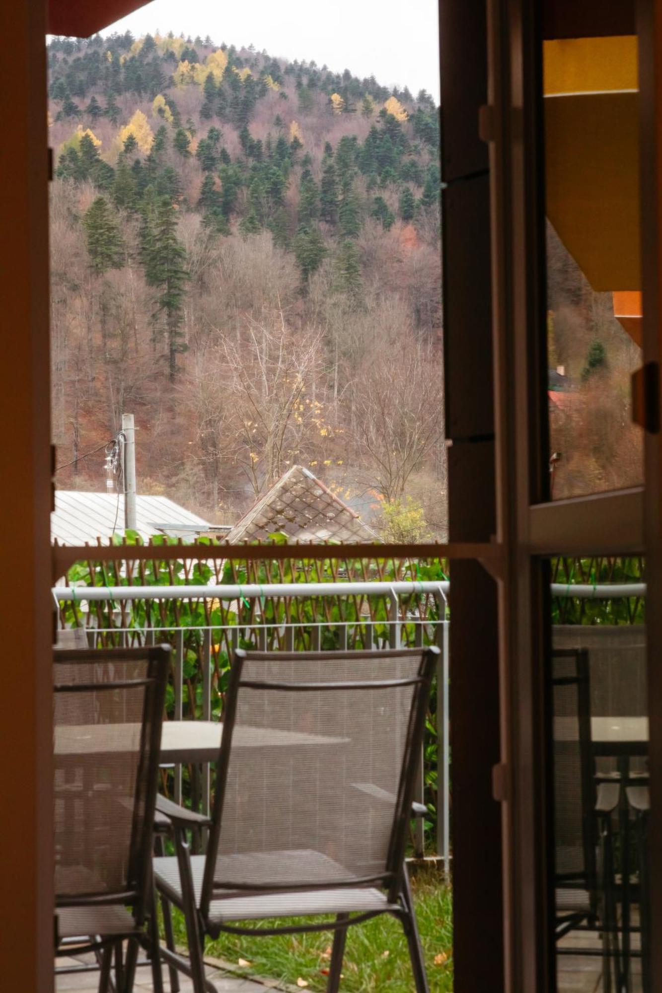 Apartament Mountain Retreat Sinaia Zewnętrze zdjęcie
